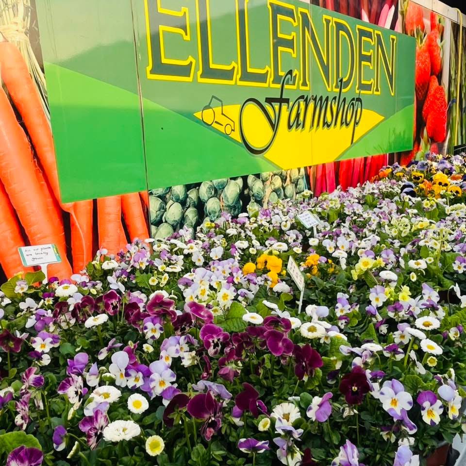 Front of Ellenden Farm Shop